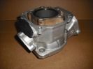 Rotax Jr. Cylinder #223999 (2004) - Used