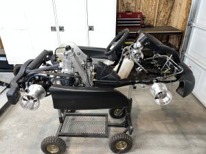 CRG Big Al / BA1 Prototype Cadet Kart Chassis + Rotax FR125 Micro Max Engine