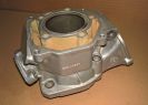 Rotax Max FR125 Kart Engine Motor Cylinder 223999 Junior, Mini, Micro {#21}
